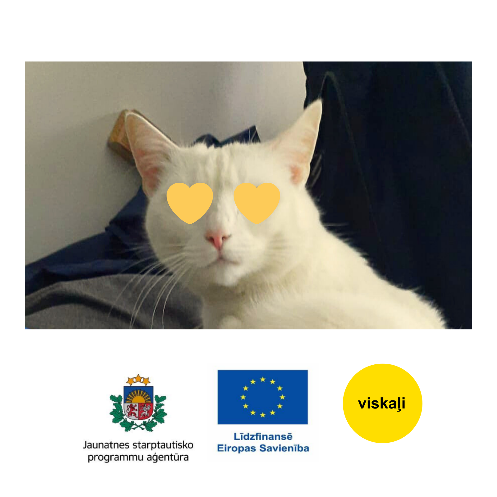 Viskaļos sācies komunālais džezs!